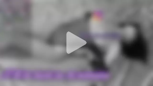 _dervindella_ photo 17