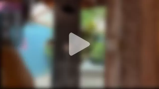 _intelligencer_ photo 7