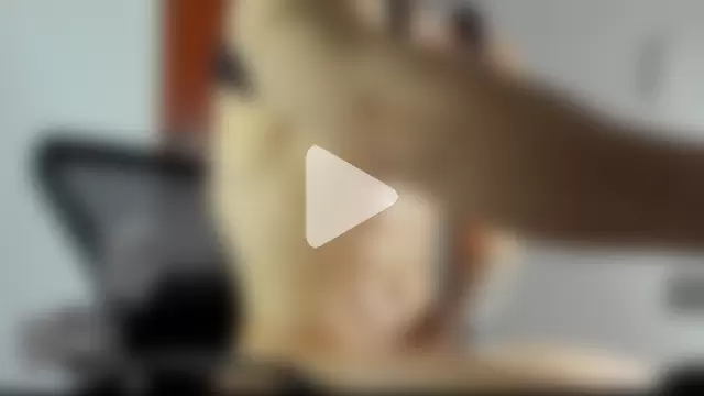 _jamesleandros1 photo 20