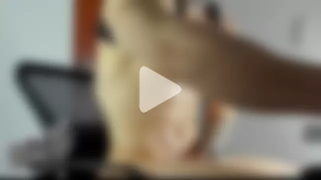 _jamesleandros1 photo 18