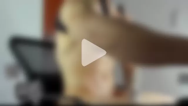 _jamesleandros1 photo 10