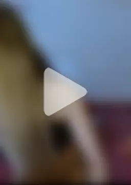 abilovesyou1 photo 11