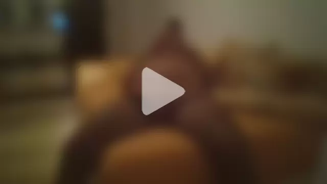 adameva2019 photo 12