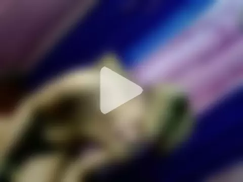 addicted_to_alex photo 30