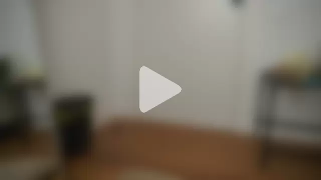 adisson_fox photo 10