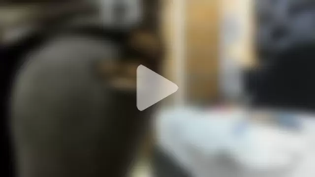 africa_holmes photo 12