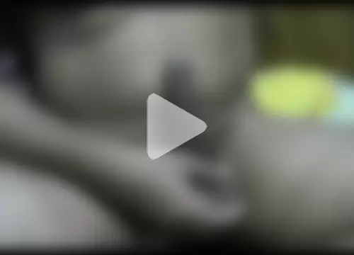 ajoy_sugarbaby photo 5