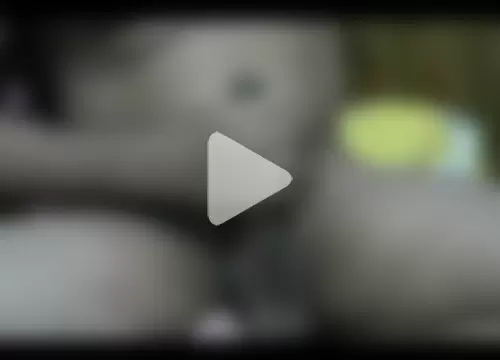 ajoy_sugarbaby photo 4