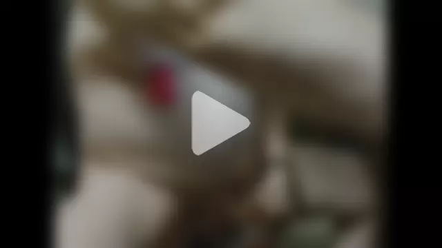 alan_inlondon photo 17