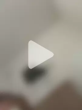 alegriadodia photo 3