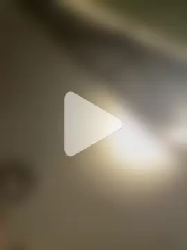 alexandermoris photo 8