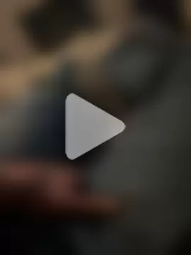 alfarolemmer photo 1