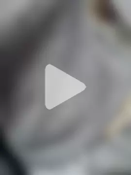 alicetgirlbr photo 10