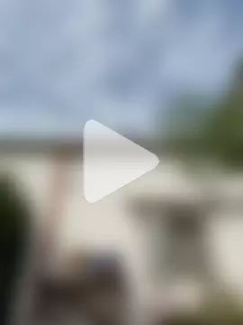 alicetgirlbr photo 19