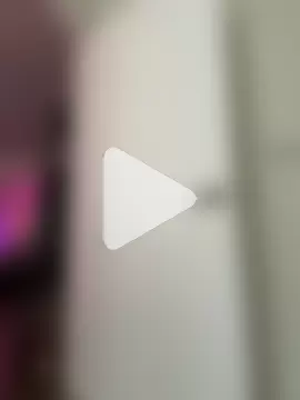 alldogsgotoheaven photo 2