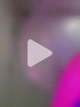 alldogsgotoheaven photo 1