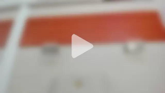 allice_green photo 14