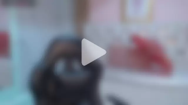 allyssa_bellini_s photo 21