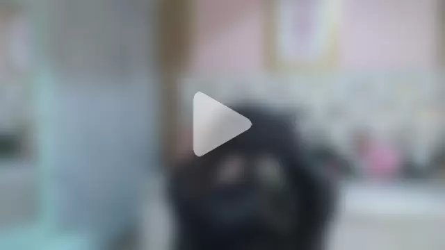 allyssa_bellini_s photo 3