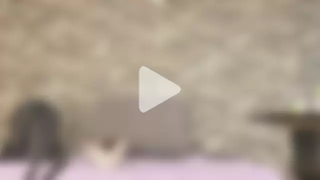 alondrabigtits photo 14