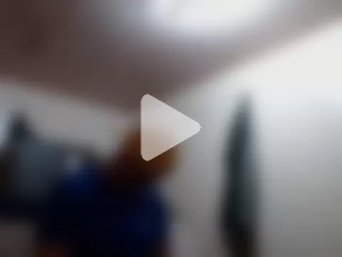 alphaswitchard photo 7