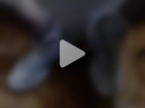 alphaswitchard photo 4