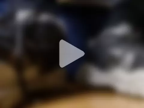 alphaswitchard photo 3