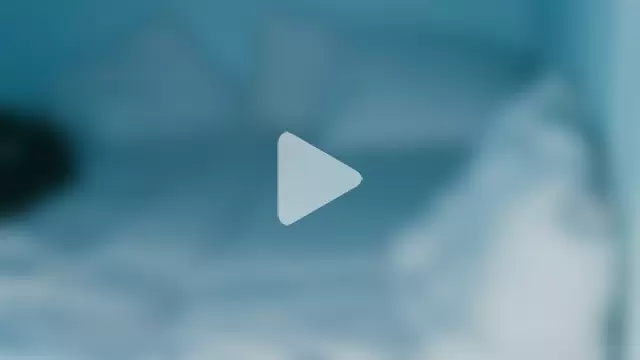 alyx_garden photo 13