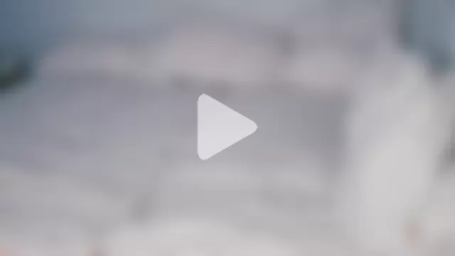 alyx_garden photo 11