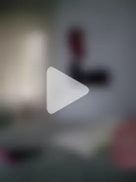 amalia202555 photo 22