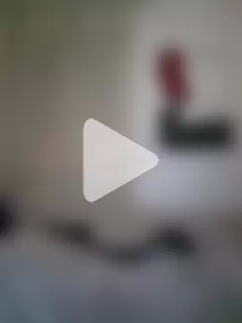 amalia202555 photo 1