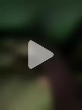 amavcisimert photo 9