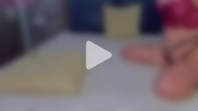 amelialotus photo 15