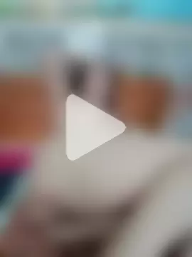 amenda_bae photo 4