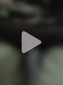 amirMohamed58 photo 26