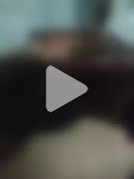 amirMohamed58 photo 25