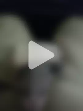 amirMohamed58 photo 18