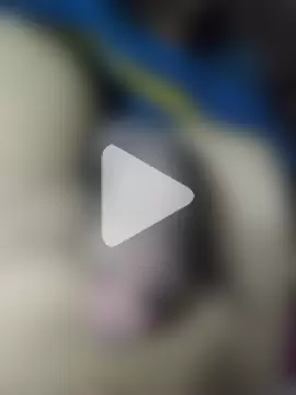 amirMohamed58 photo 11