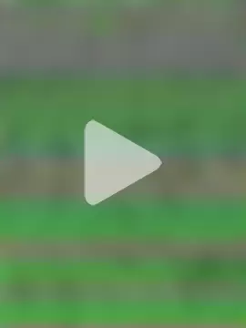 amnnnnnnnnnnn photo 3