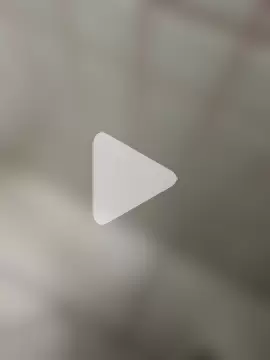 andradeisa1500 photo 3