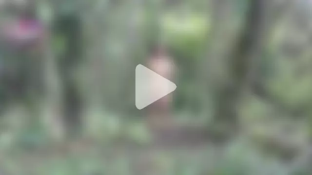 andreu_mature photo 17