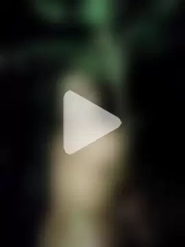 andreu_mature photo 12