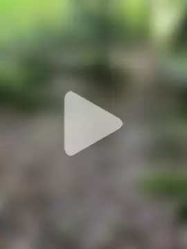 andymatthisbwc photo 9