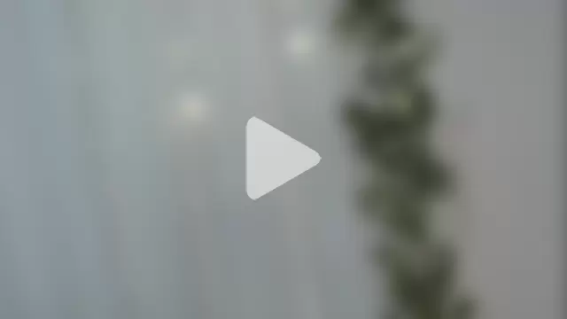 angelainparis28 photo 22