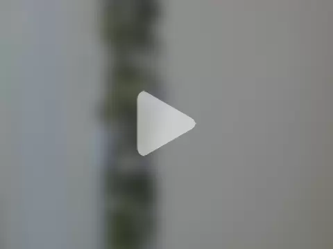 angelainparis28 photo 10