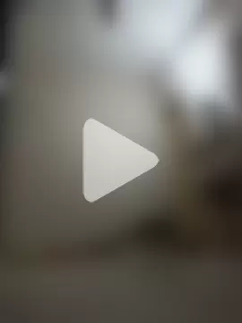 annu_47 photo 7