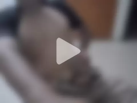 antonix-hard photo 2