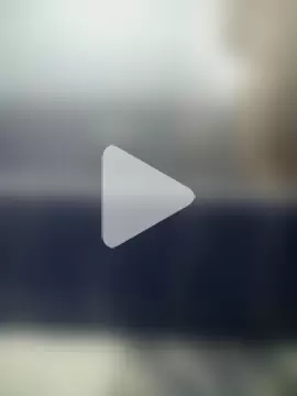 arabian_pharaon photo 13