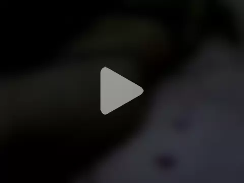 ariana_crazzy photo 19