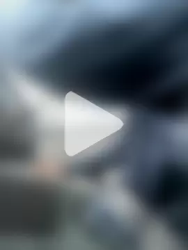 arnoldtrenp photo 14